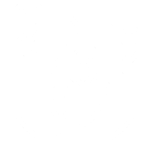 Icon einer Weltkugel, Symbol für internationale Events.